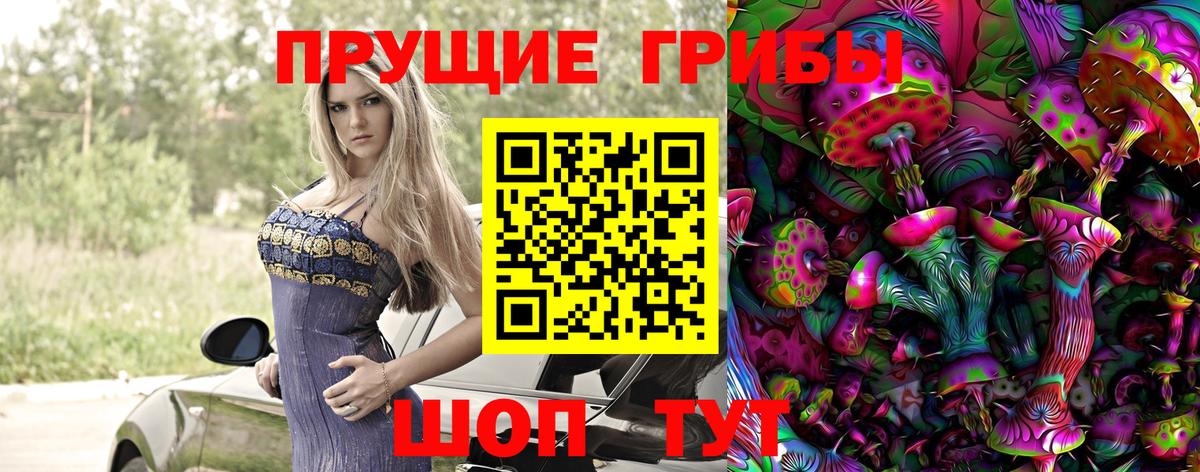 Королёв  Псилоцибиновые грибы прущие грибы  Вход с VPN  Псилоцибиновые грибы GOLDEN TEACHER 