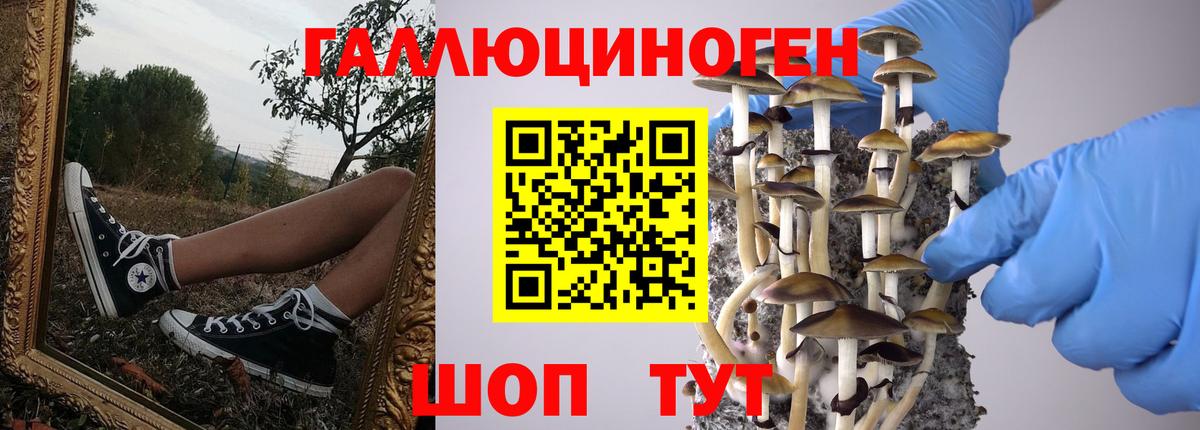 Псилоцибиновые грибы мухоморы Королёв